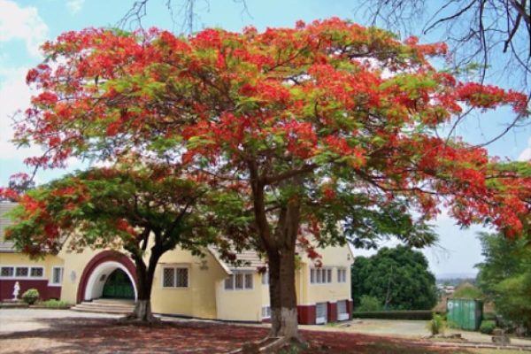 Congo – Allestimento di un’aula informatica_Casa-accoglienza Congo – Allestimento di un’aula informatica_Casa-accoglienza